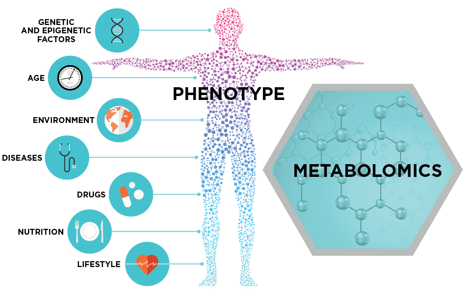 Metabolomics Metabolomic Technologies Inc.